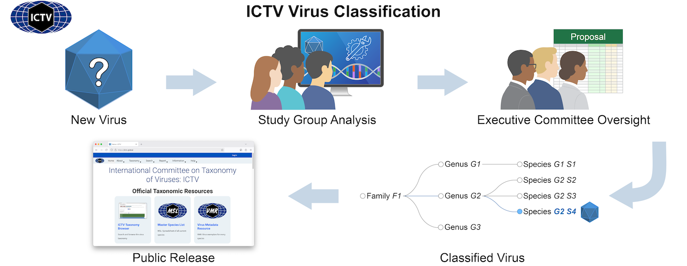NAR Graphical Abstract