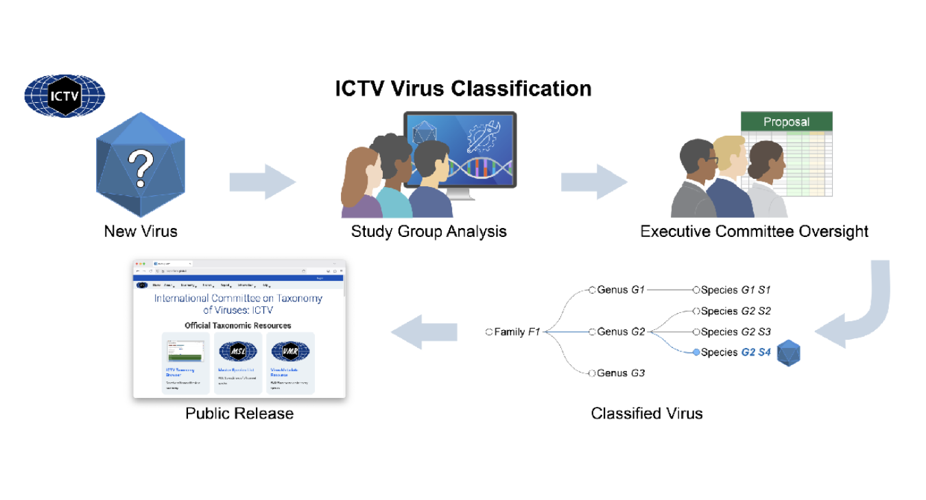 NAR Graphical Abstract