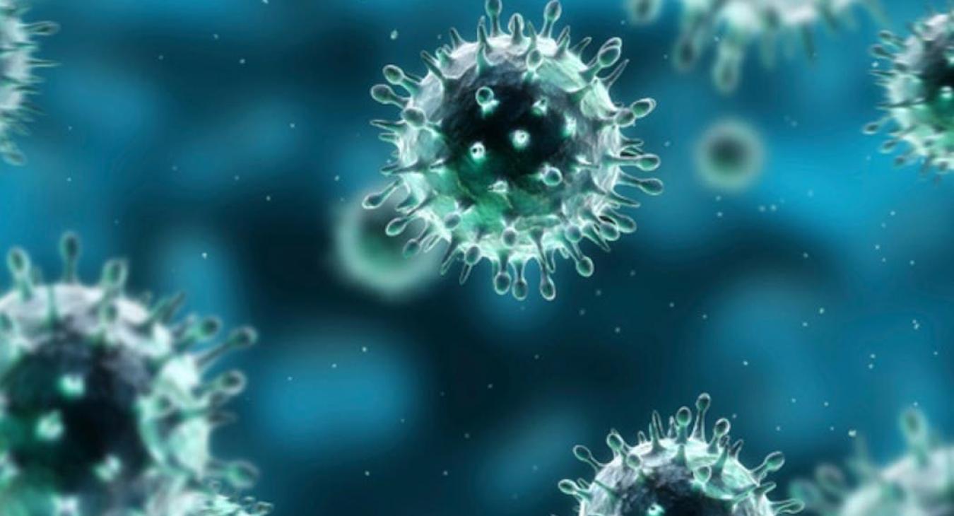 Coronavirus (Wikipedia)